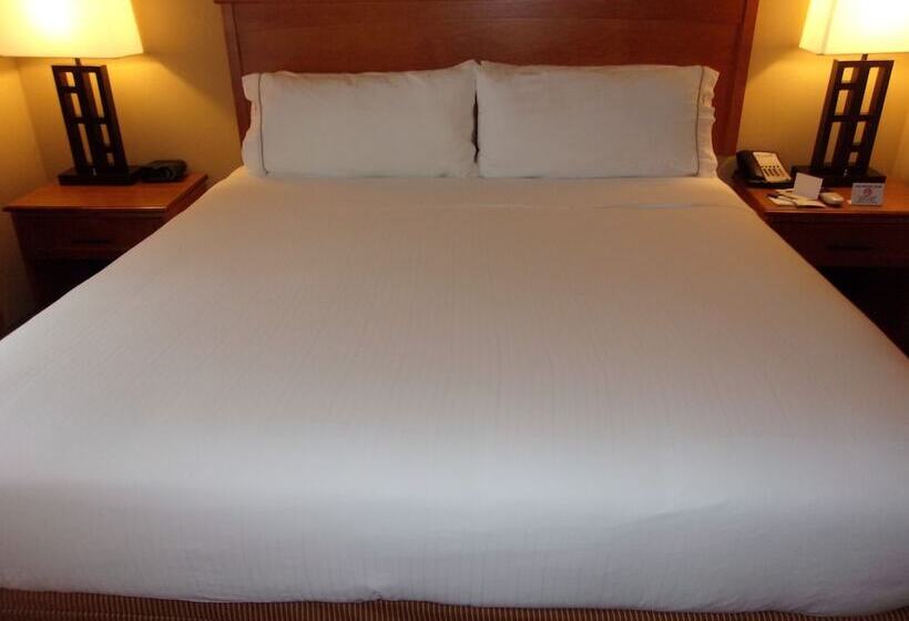 Люкс Адаптированный для Инвалидов, Holiday Inn Express Hotel & Suites Chicago West Roselle, An Ihg