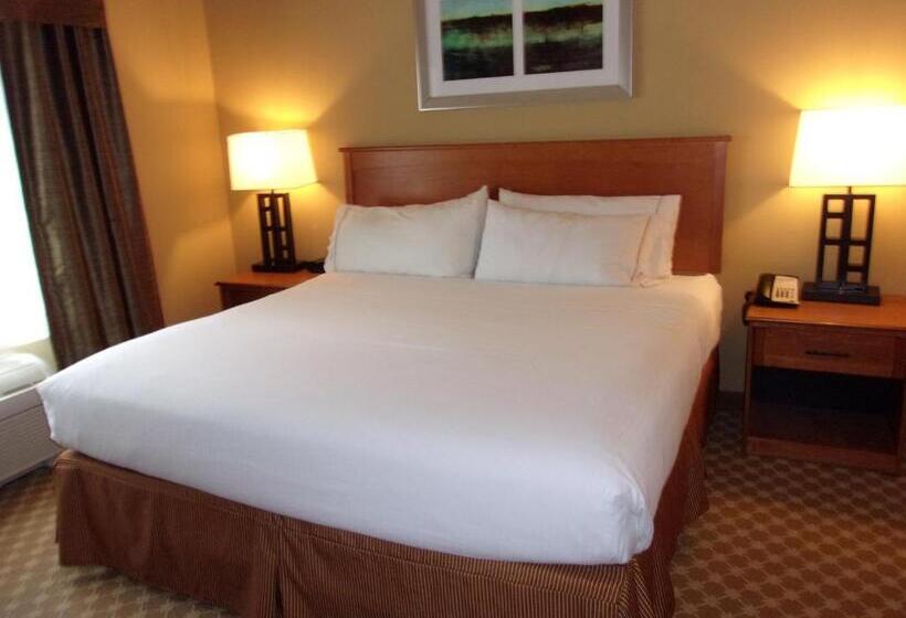 Люкс Кровать Кинг, Holiday Inn Express Hotel & Suites Chicago West Roselle, An Ihg
