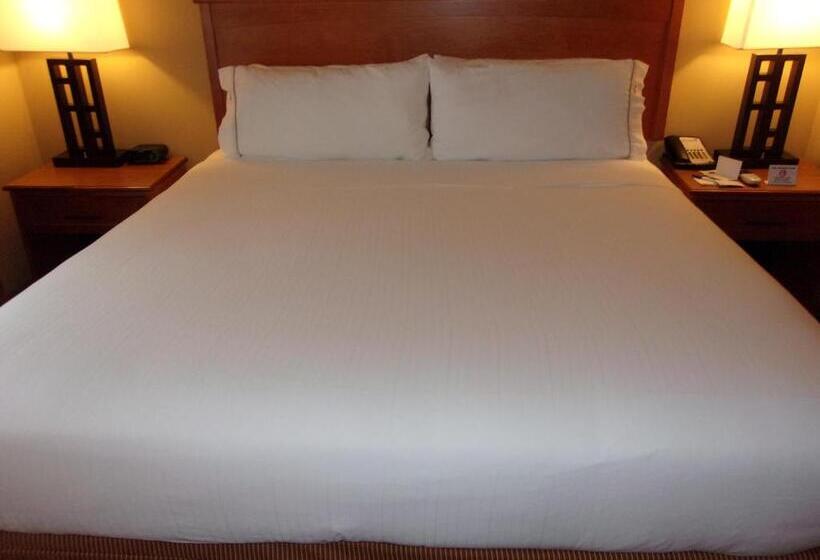 Стандартный Номер Кровать Кинг, Holiday Inn Express Hotel & Suites Chicago West Roselle, An Ihg