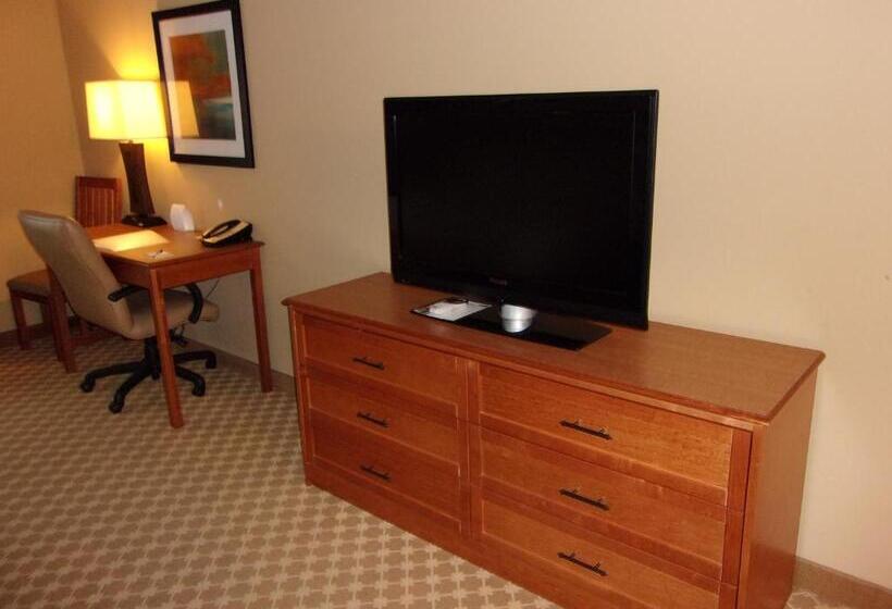 Номер Стандарт Кровать Кинг Адаптированный для Инвалидов, Holiday Inn Express Hotel & Suites Chicago West Roselle, An Ihg