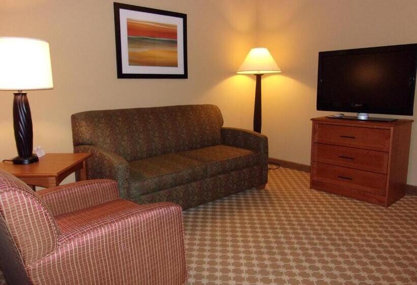 Президентский Люкс, Holiday Inn Express Hotel & Suites Chicago West Roselle, An Ihg