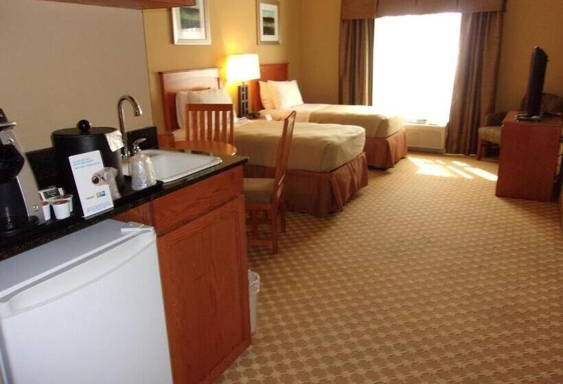 Family Suite, Holiday Inn Express Hotel & Suites Chicago West Roselle, An Ihg