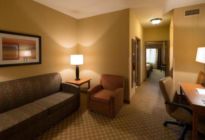 Люкс Адаптированный для Инвалидов, Holiday Inn Express Hotel & Suites Chicago West Roselle, An Ihg