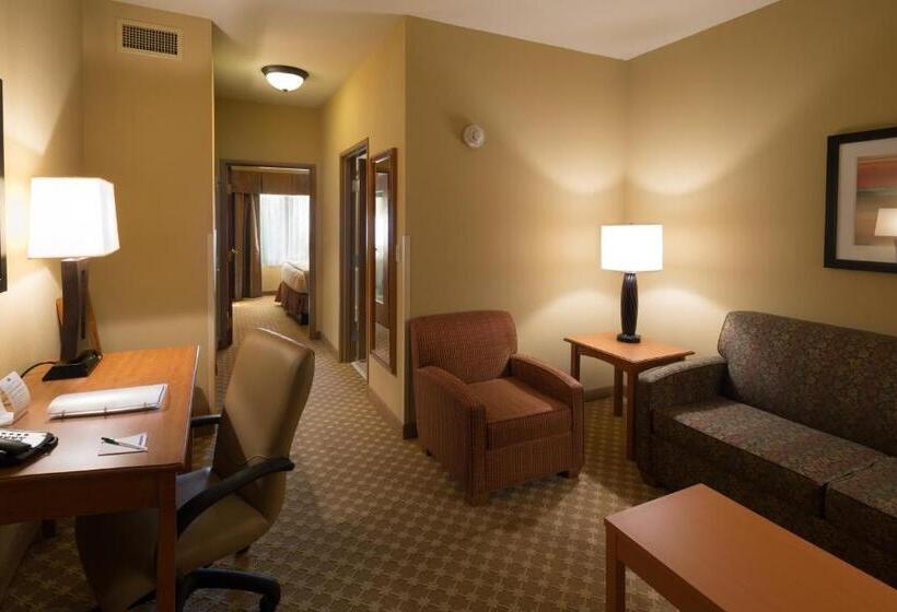 Люкс Адаптированный для Инвалидов, Holiday Inn Express Hotel & Suites Chicago West Roselle, An Ihg