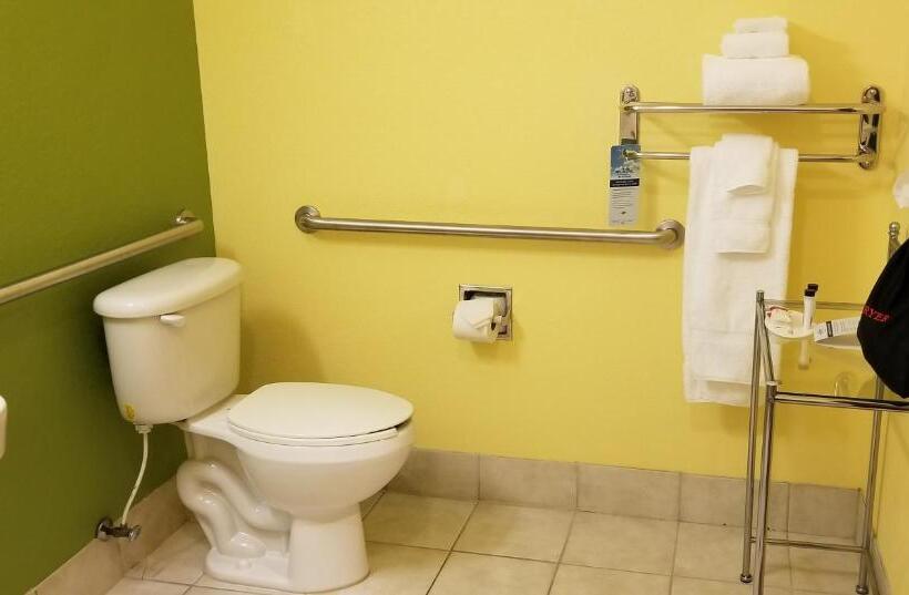 장애인을 위한 스탠다드 룸, Microtel Inn & Suites By Wyndham Delphos