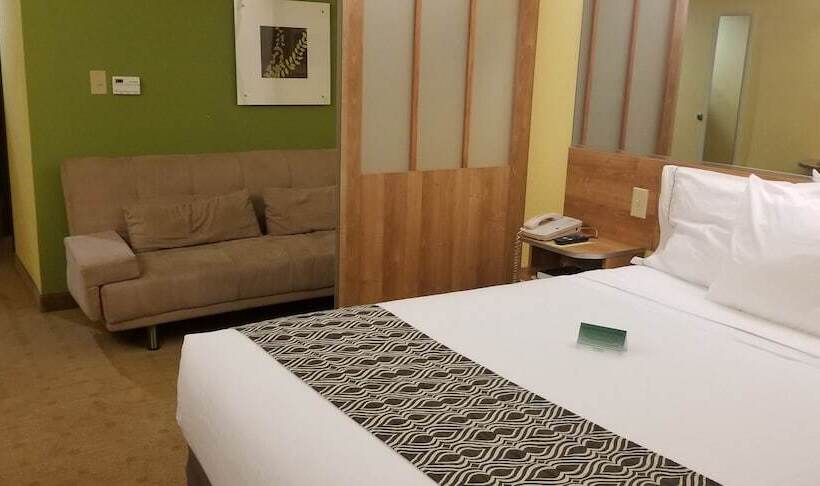 장애인을 위한 스위트, Microtel Inn & Suites By Wyndham Delphos