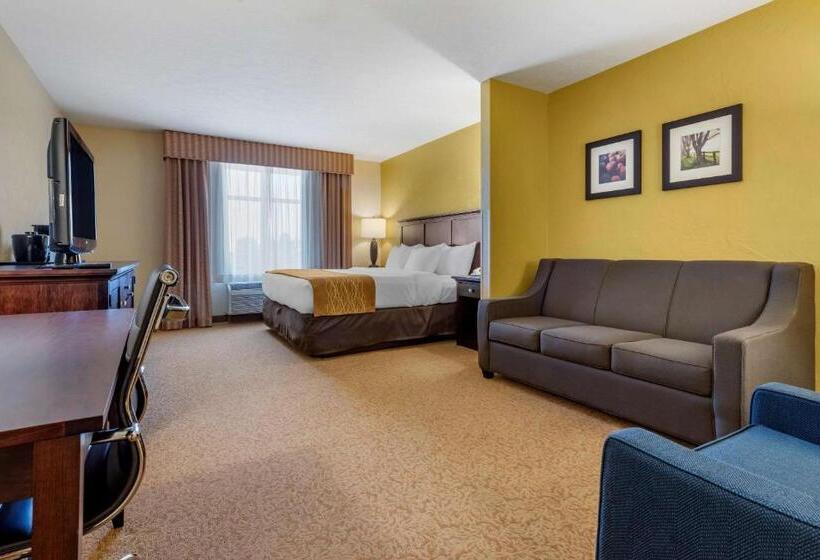 Люкс, Comfort Inn & Suites