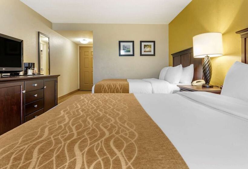 Люкс, Comfort Inn & Suites