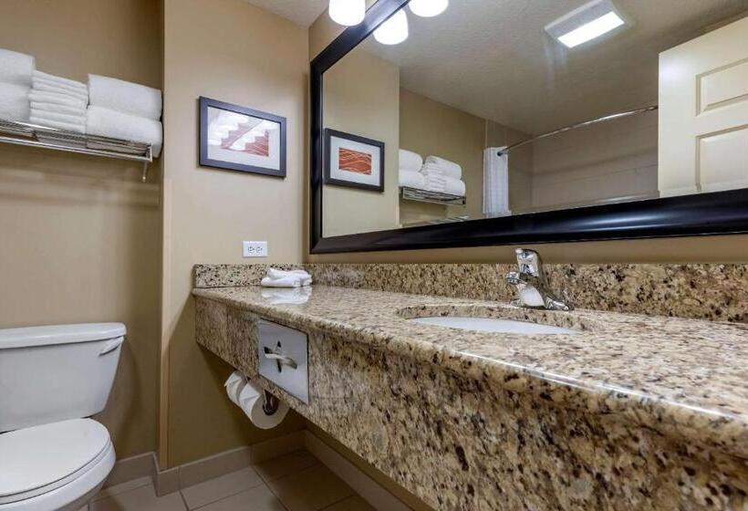 Номер Стандарт 2 Двуспальные Кровати, Comfort Inn & Suites