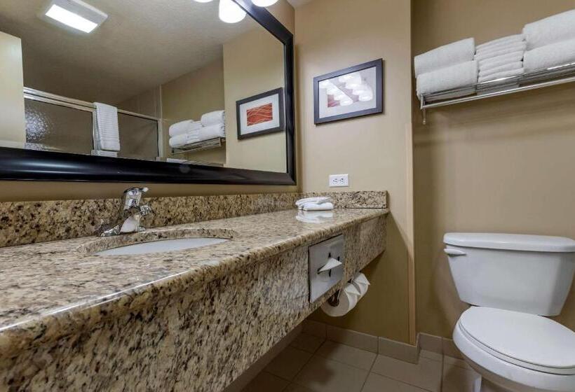 Номер Стандарт, Comfort Inn & Suites