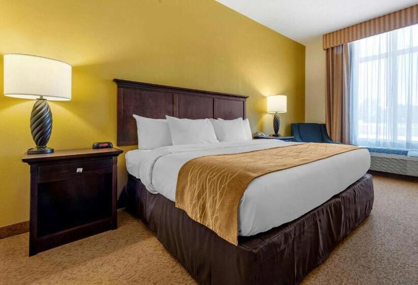 Номер Стандарт Кровать Кинг Адаптированный для Инвалидов, Comfort Inn & Suites