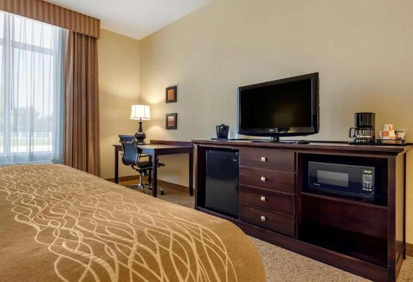 Люкс Адаптированный для Инвалидов, Comfort Inn & Suites