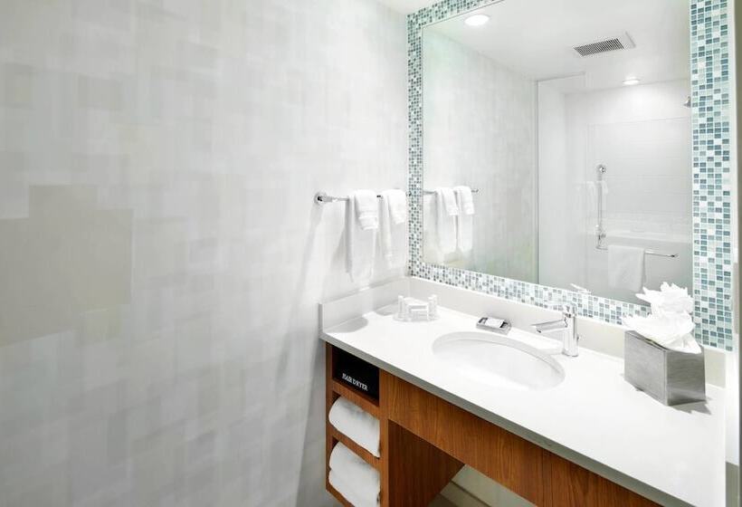 Люкс, Springhill Suites Houston Nasa/webster