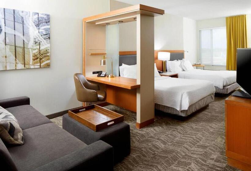 Люкс, Springhill Suites Houston Nasa/webster