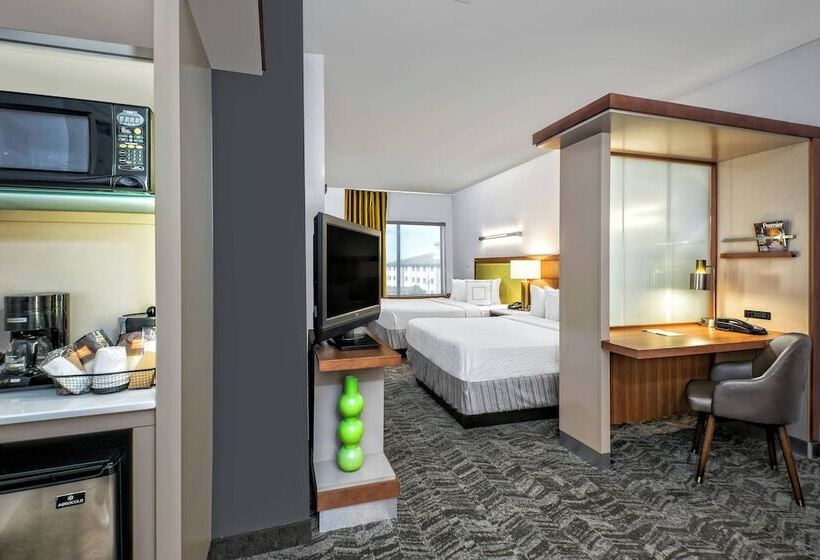 Studio Standard, Springhill Suites By Marriott San Antonio Airport