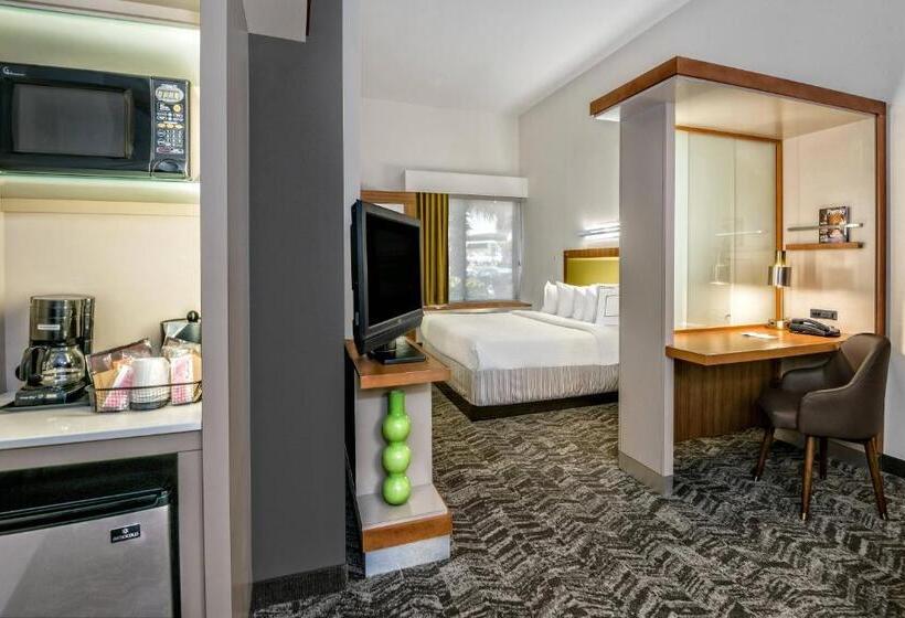 Studio Standard Lit King Size, Springhill Suites By Marriott San Antonio Airport