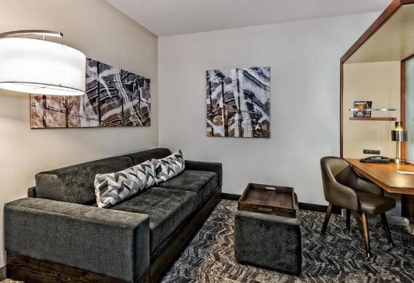 Studio Standard, Springhill Suites By Marriott San Antonio Airport