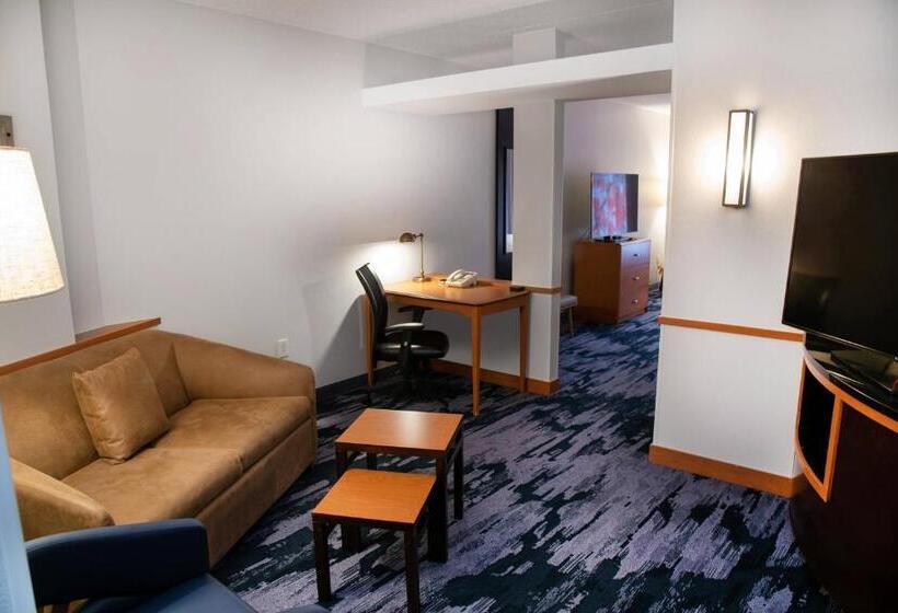 Студио Стандарт Кровать Кинг, Fairfield Inn & Suites Lewisburg