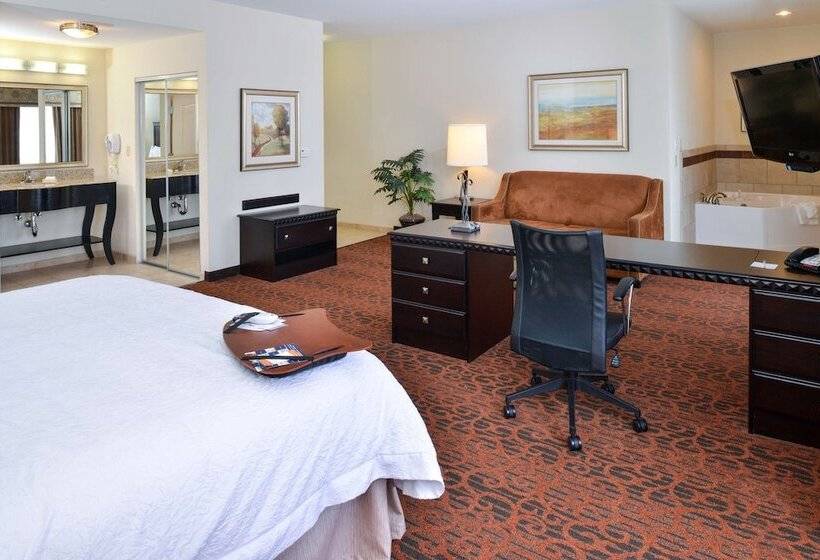 Люкс, Hampton Inn Pecos