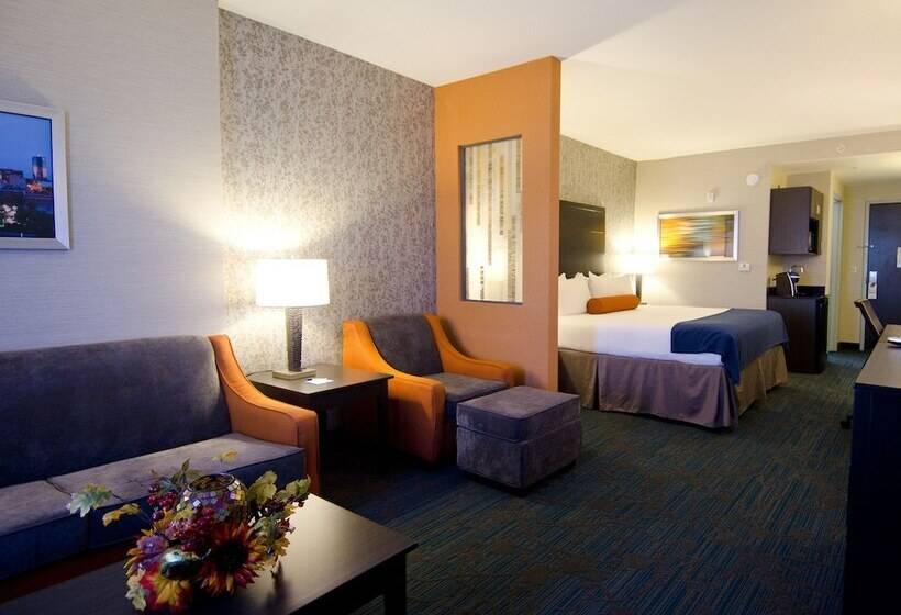 스위트, Holiday Inn Express Hotel & Suites Knoxville, An Ihg