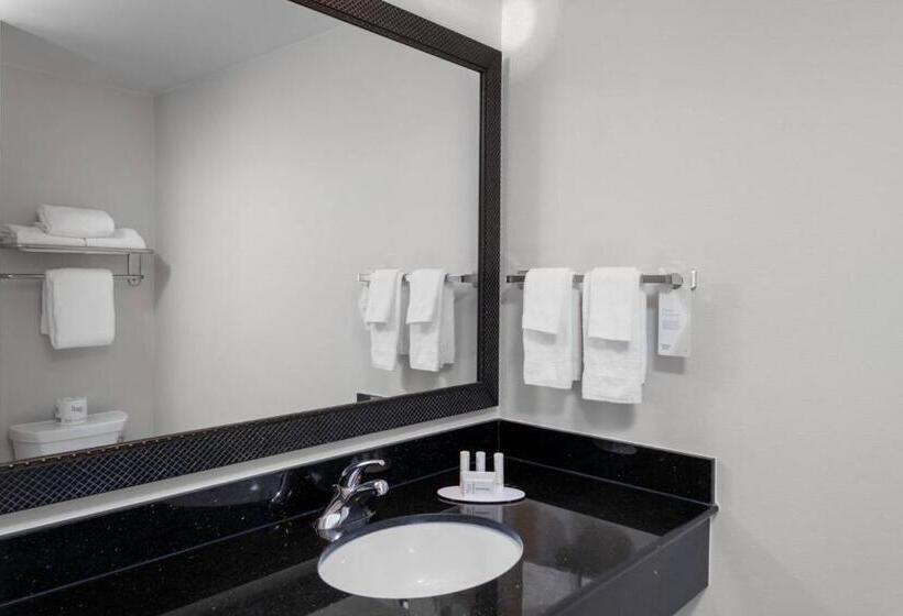 Студио Стандарт Кровать Кинг, Fairfield Inn & Suites By Marriott Wichita Downtown