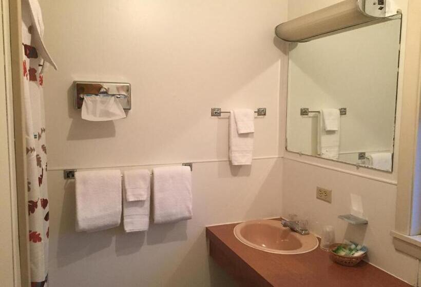 Номер Basic, Mansion House Motel