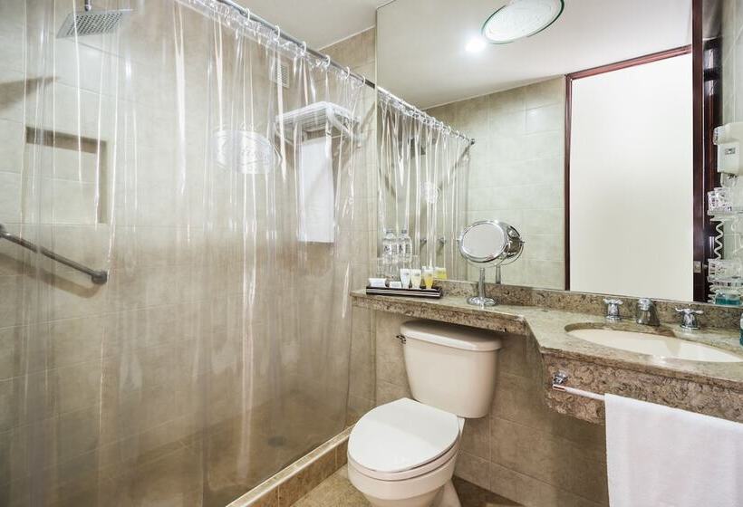 Одноместный Номер Стандарт Двуспальная Кровать, Platinum Suite