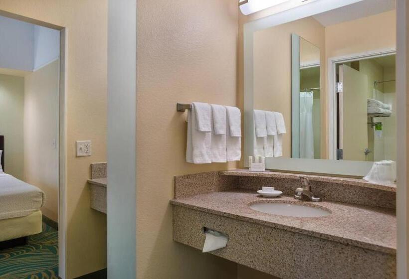 Люкс Адаптированный для Инвалидов, Springhill Suites St Petersburg Clearwater