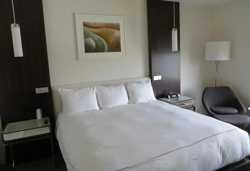 Standaard Studio met Kingsize Bed, The Alexander