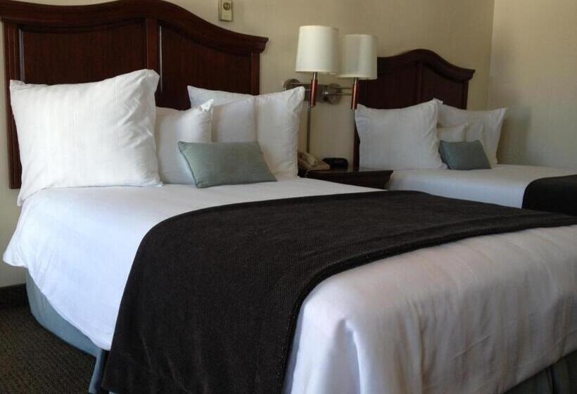 Номер Стандарт 2 Двуспальные Кровати, Holiday Hill Inn & Suites