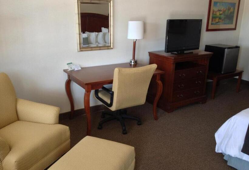 Стандартный Номер Кровать Кинг, Holiday Hill Inn & Suites