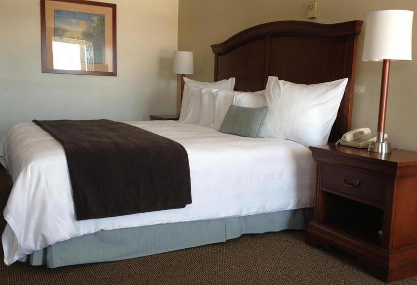 Стандартный Номер Кровать Кинг, Holiday Hill Inn & Suites