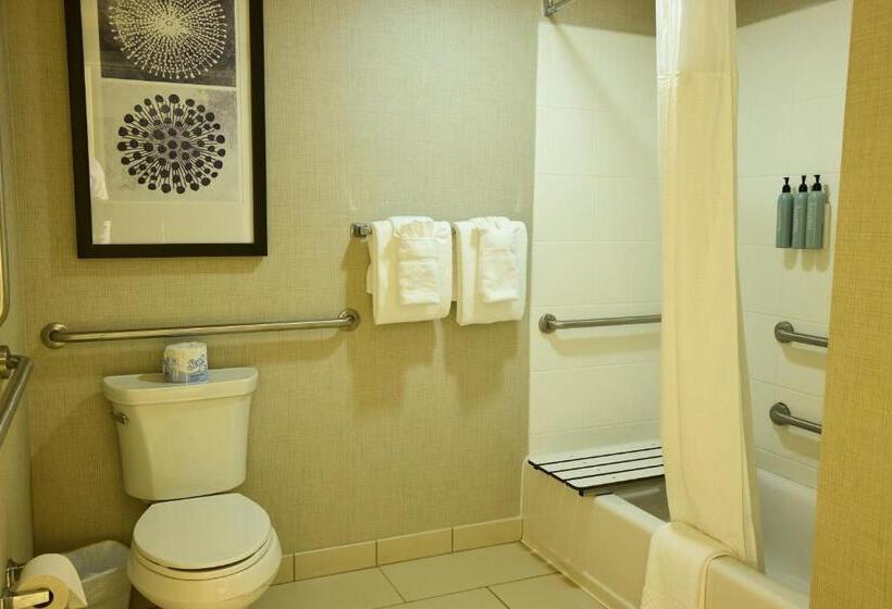 Студио Стандарт Кровать Кинг, Residence Inn By Marriott Columbia Northwest/harbison