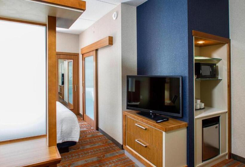 Люкс Кровать Кинг, Springhill Suites By Marriott Deadwood