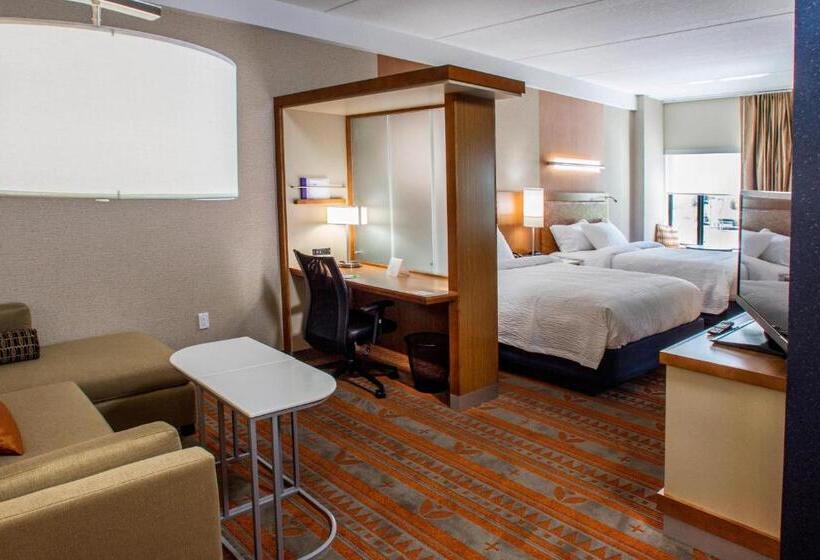 Люкс, Springhill Suites By Marriott Deadwood