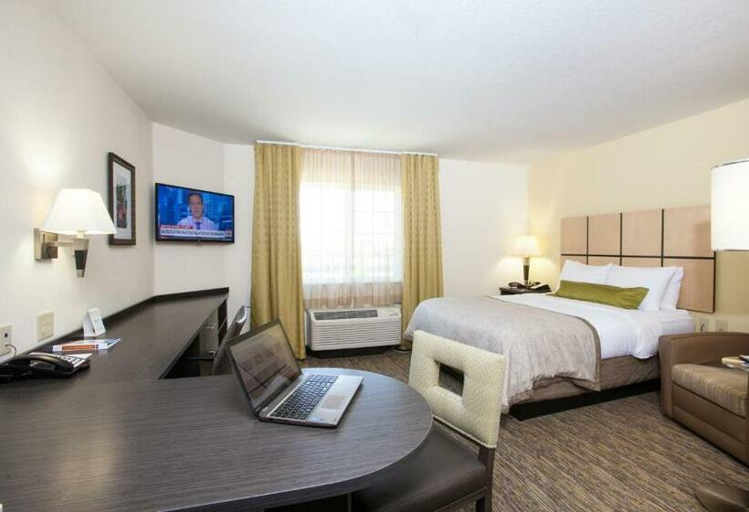 标准工作室, Candlewood Suites New Braunfels, An Ihg