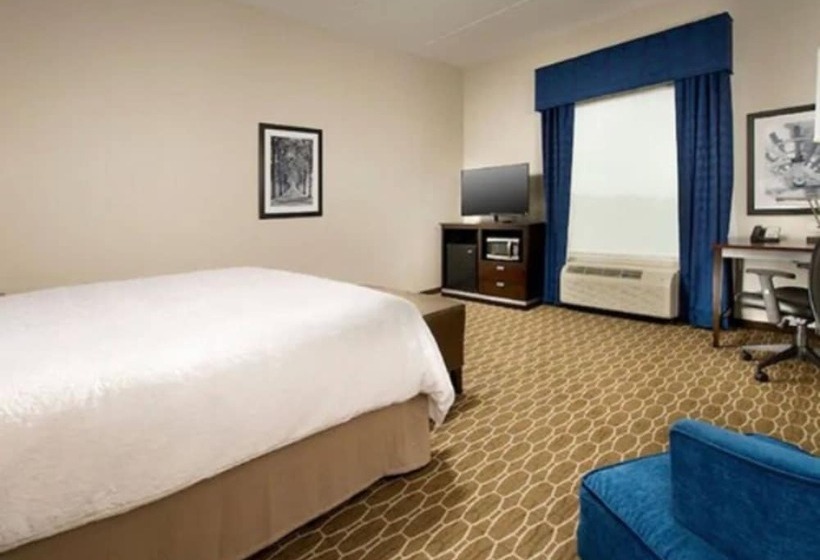 اتاق استاندارد با تخت بزرگ, Hampton Inn & Suites Washington Dc North/gaithersburg