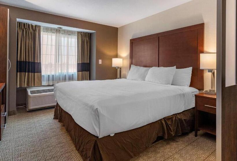Номер Стандарт, Comfort Inn & Suites