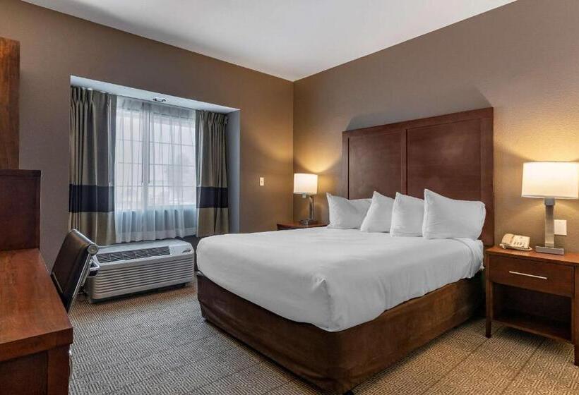Номер Стандарт Кровать Кинг Адаптированный для Инвалидов, Comfort Inn & Suites