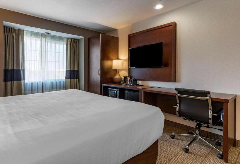 Люкс Адаптированный для Инвалидов, Comfort Inn & Suites