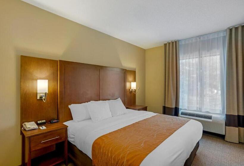 带大床的标准间, Comfort Inn & Suites Sayre
