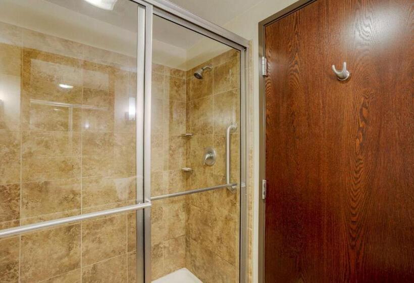 キングサイズベッドのスタンダードルーム, Comfort Inn & Suites Sayre