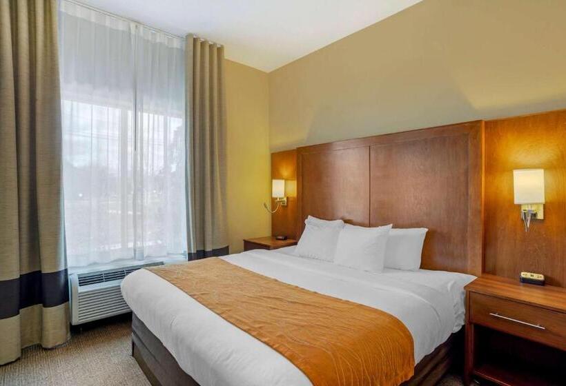 带大床的套房, Comfort Inn & Suites Sayre