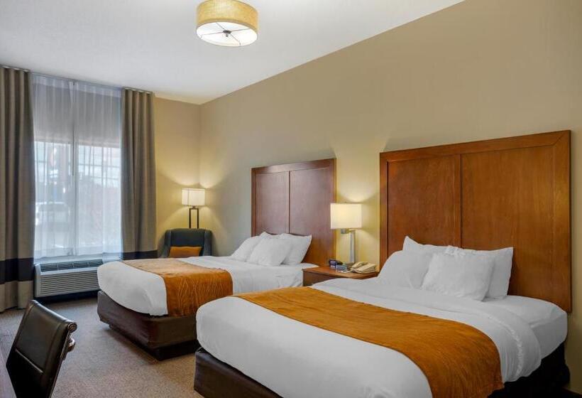 标准间, Comfort Inn & Suites Sayre