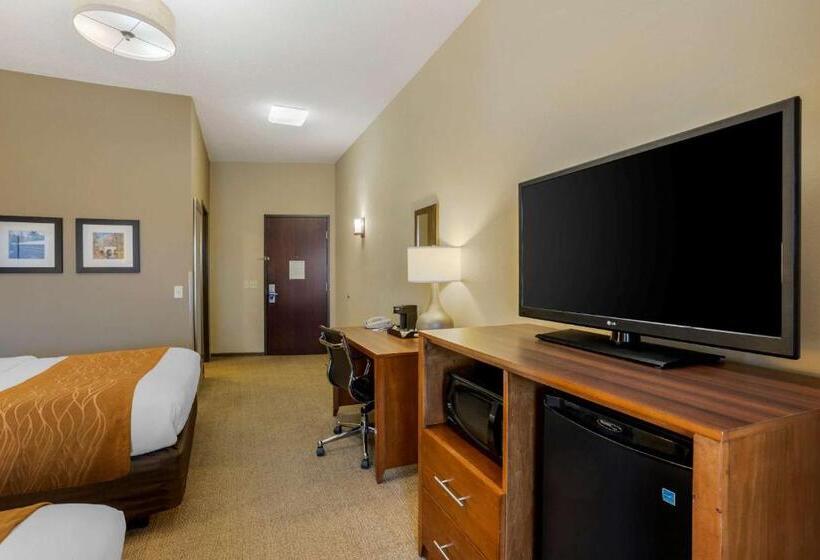 スタンダードルーム, Comfort Inn & Suites Sayre