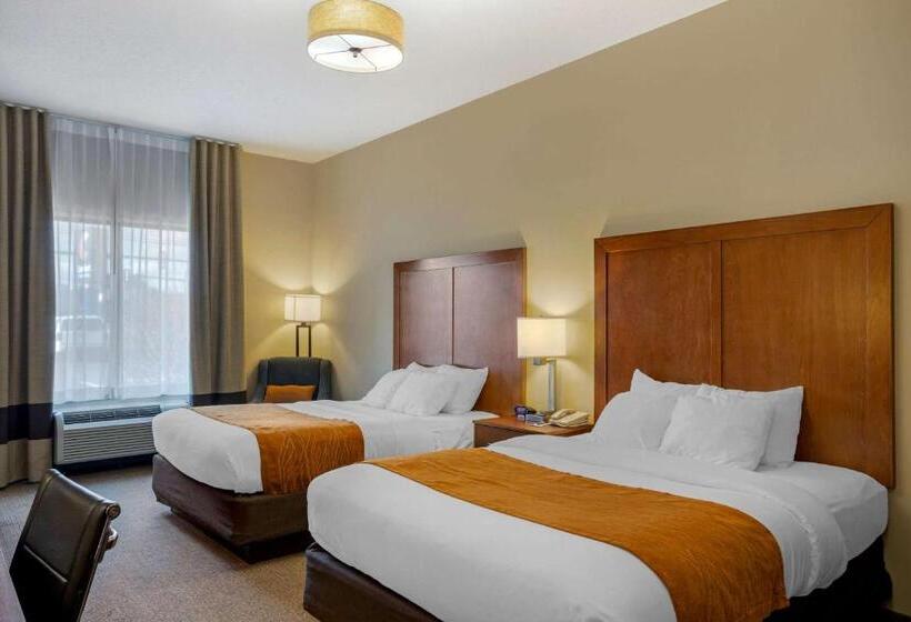 标准间, Comfort Inn & Suites Sayre