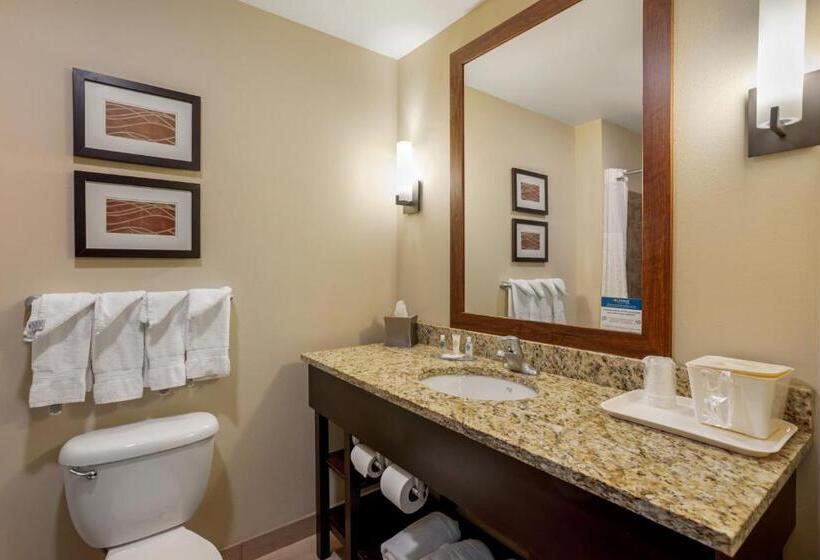 スイート, Comfort Inn & Suites Sayre
