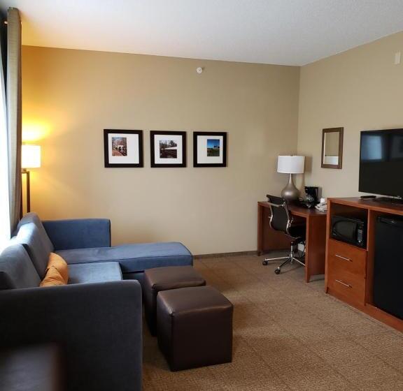 身障者適用スイートルーム, Comfort Inn & Suites Sayre