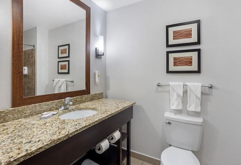 スイート, Comfort Inn & Suites Sayre