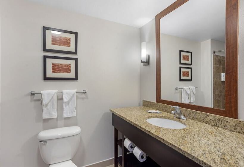 套房, Comfort Inn & Suites Sayre